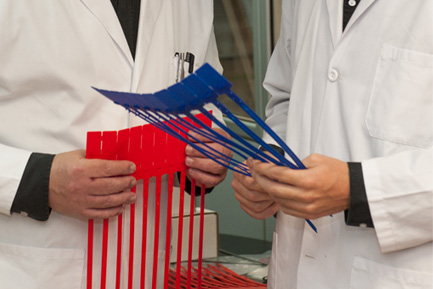 Precintos de seguridad